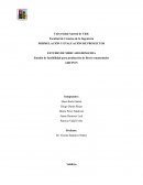 Estudio de factibilidad para producción de flores ornamentales