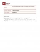 Estructura Organizativa y Dirección Estratégica de la empresa