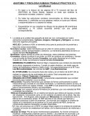 ANATOMIA Y FISIOLOGIA HUMANA-TRABAJO PRACTICO N°1: LA CÉLULA