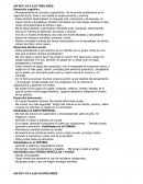 Características niños educación infantil