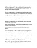Estructuras de las células
