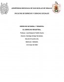 DERECHO REGISTRAL