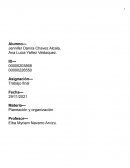 MANUAL DE ORGANIZACION BELLA, S.A