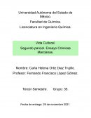 Ensayo crónicas marcianas