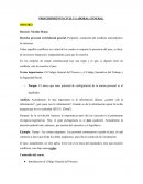 Apuntes procedimiento civil y laboral general