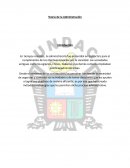 Teoría de la Administración