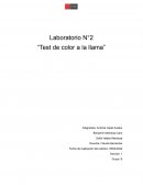 Laboratorio N°2 “Test de color a la llama”