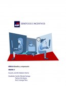 Actividad 1 beneficios e incentivos