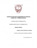 ENSAYO CRITICO CENTRO DE ESTUDIOS SUPERIORES EN CIENCIAS JURIDICAS Y CRIMINOLOGICAS