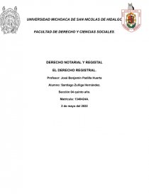 DERECHO REGISTRAL. Página 1