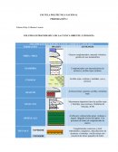 COLUMNA ESTRATIGRÁFICA DE LA CUENCA ORIENTE: LITOLOGÍA