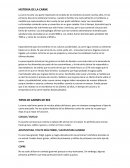 HISTORIA DE LA CARNE