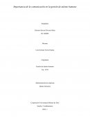 El conocimiento en la gestion de talento humano