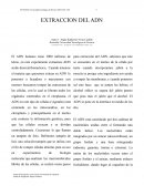 EXTRACCION DEL ADN