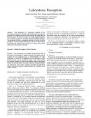 Laboratorio Perceptrón