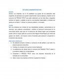 Vision empresaria PANQUE FRUIT