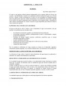 Agrotecnia. El riego