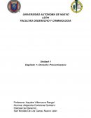 Derecho Precortesiano