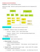Transporte a través de la membrana