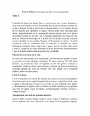 Tierras bíblicas: Encuentro de Dios con la humanidad