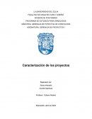 Caracterización de los proyectos