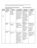 Las diferentes áreas del desarrollo de ambas etapas: Etapa escolar y adolescencia