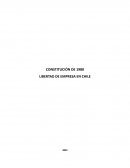 CONSTITUCIÓN DE 1980 LIBERTAD DE EMPRESA EN CHILE