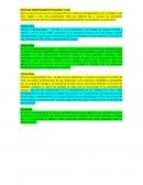 RETICULO ENDOPLASMATICO RUGOSO Y LISO