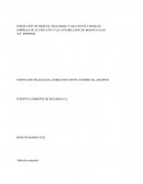 INSPECCION DE HIGIENE, SEGURIDAD Y SALUD EN EL TRABAJO EMPRESA DE ACUEDUCTO Y ALCANTARILLADO