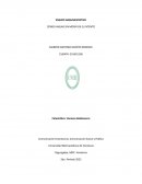 Comunicación Empresarial, Comunicación Social y Pública