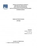 Actividad de Gestion de talento humano. Liderazgo