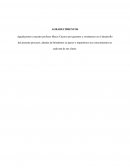 Trabajo final Formulacion y evaluación de proyectos CIDASA
