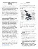 Microscopia y reconocimiento del microscopio