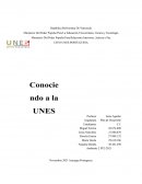 Plan de desarrollo UNES