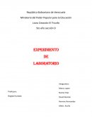 Experimento De Laboratorio. El huevo al echarlo al vaso con vinagre