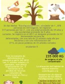 DEFORESTACION EN SAN MATIAS TRANSFIGURACION