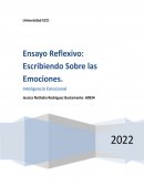 Ensayo Reflexivo Escribiendo Sobre las Emociones