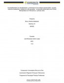 Informe de Psicología Práctica Profesional Villavicencio