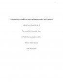 La prostitución y su legalización genera un debate económico, social y sanitario