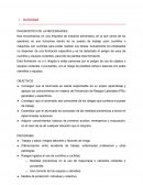 Actividad Diagnostico de las necesidades