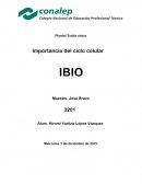 Ciclo celular