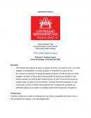 Fisica Práctica 7: Péndulo simple