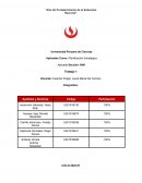 La expresión de la ética empresarial