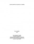 Cadena productiva del aguacate en Colombia