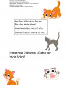 DIDÁCTICA DE PRÁCTICAS DEL LENGUAJE Y LA LITERATURA