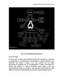 Ciclos Biogeoquimicos