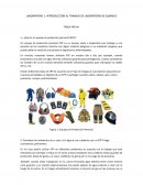 LABORATORIO 1: INTRODUCCIÓN AL TRABAJO DE LABORATORIO DE QUIMICA