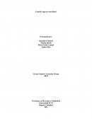 Estudio Apps de movilidad