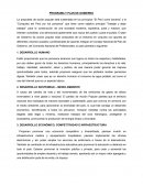 PROGRAMA Y PLAN DE GOBIERNO