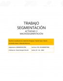 Trabajo Macrosegmentación